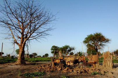 Villaggio di Manyang, in Sudan, al termine degli scontri armati. I resti di una capanna distrutta durante gli scontri vicino ad un grande albero spoglio