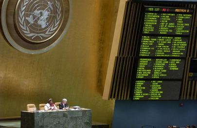 Voting at the General Assembly. In the upper left, the emblem of the United Nations.