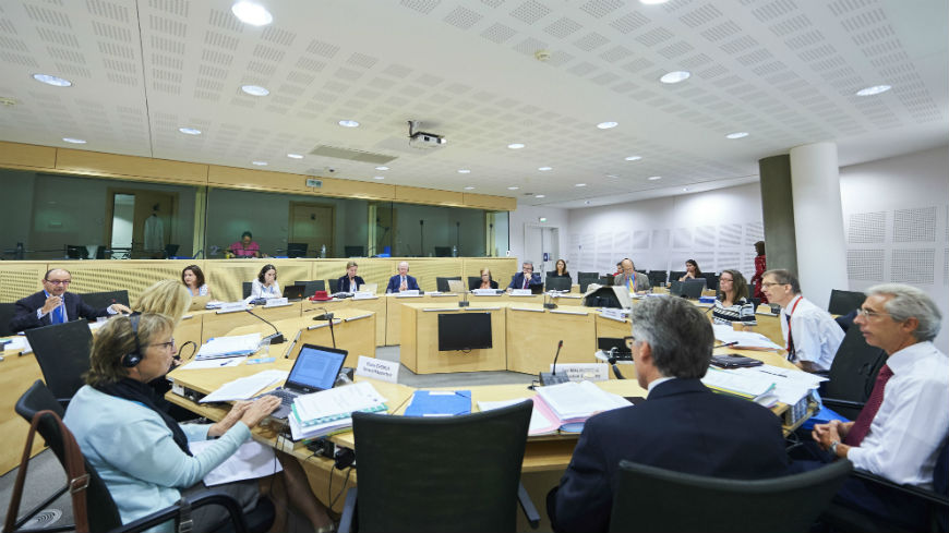 European Committee of Social Rights