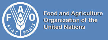 Logo - Organizzazione per il cibo e l'agricoltura delle Nazioni Unite