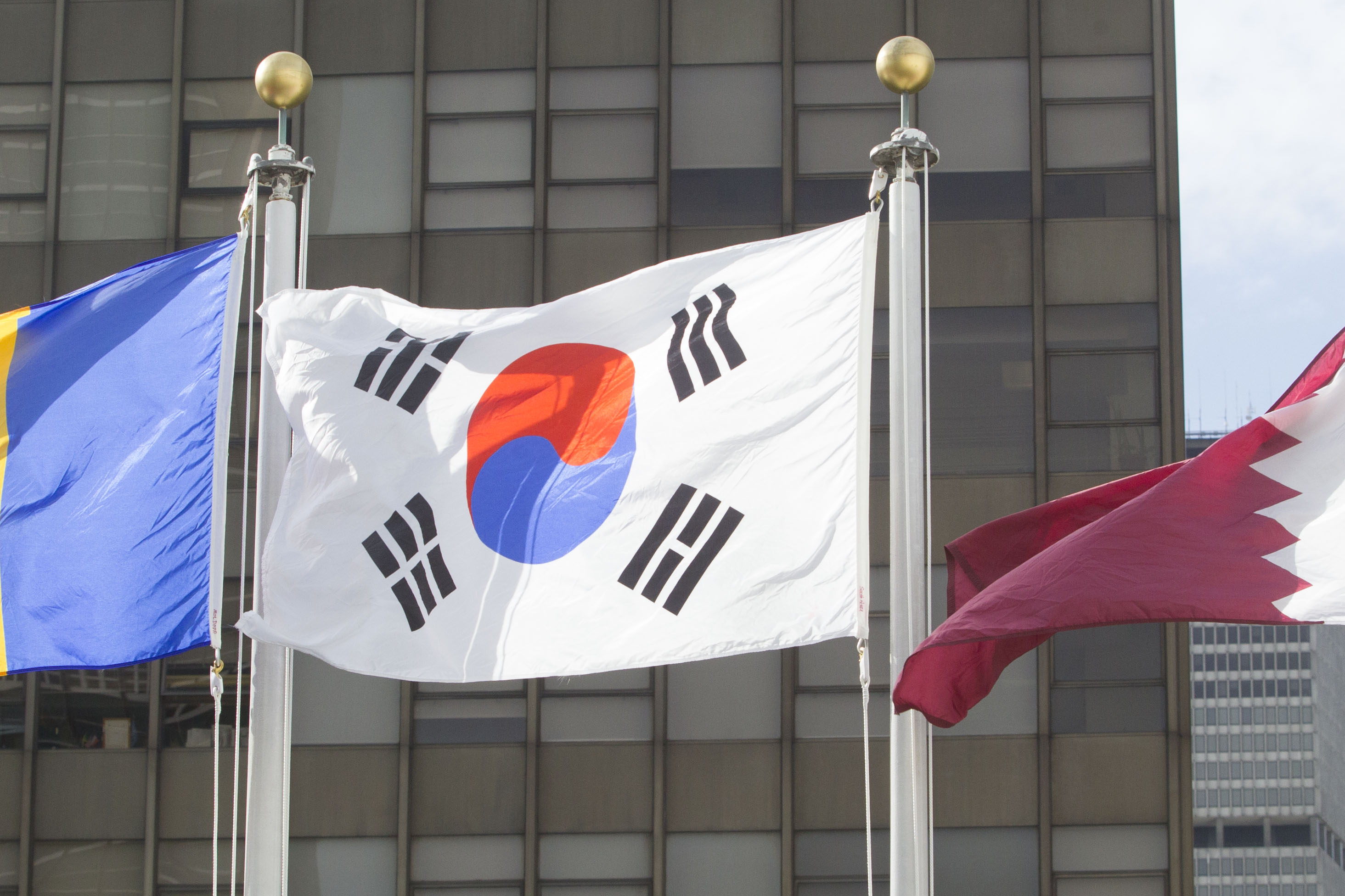 Bandiera della Repubblica di Corea 