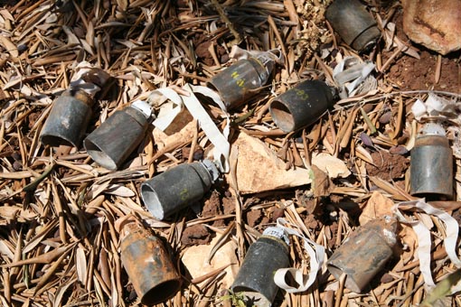 Remains of exploded cluster munitions in an olive groove