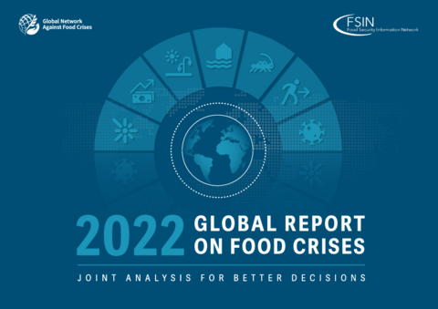 2022 Global Report on Food Crises