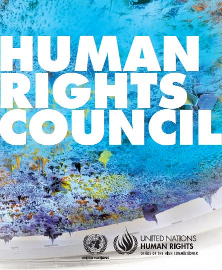 Consiglio diritti umani delle Nazioni Unite
