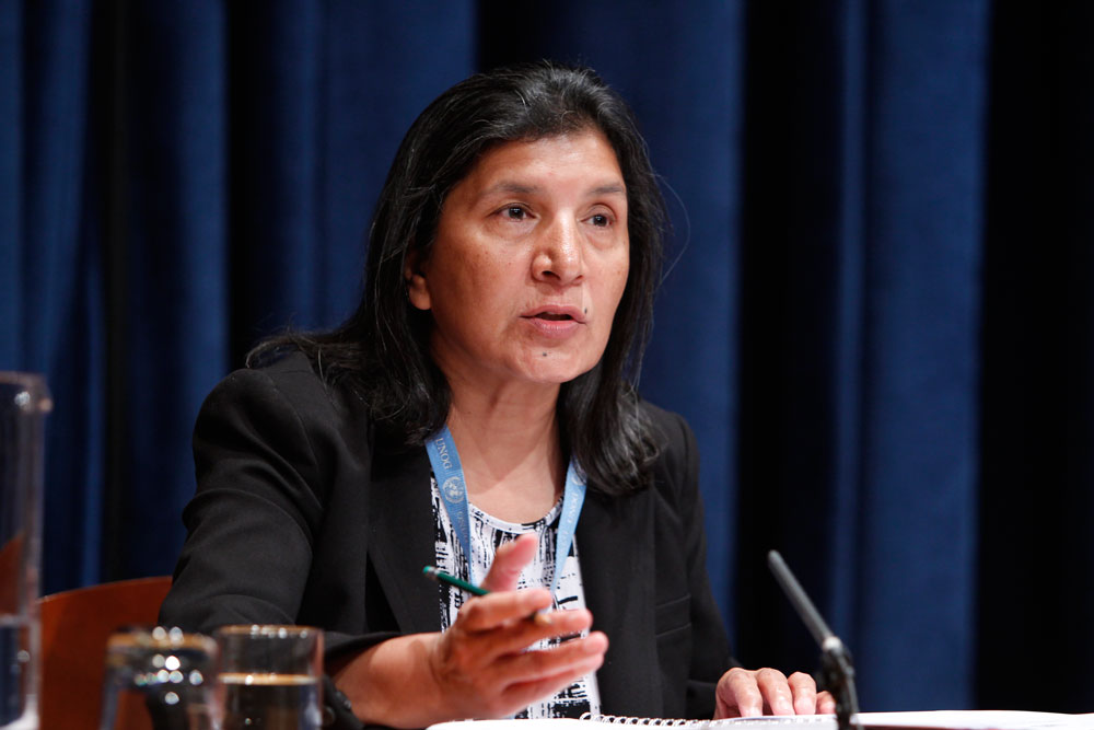 Rashida Manjoo, Relatrice speciale delle Nazioni Unite sulla violenza contro le donne, le sue cause e le sue conseguenze dal 2009 