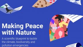 The first UNEP synthesis report is titled: Making Peace with Nature