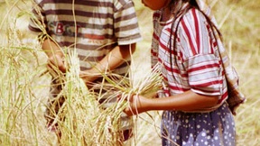 Young children working in a field in Indonesia.