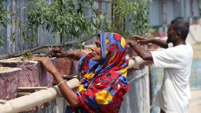 A woman and her husband growing chillies at their climate smart house in Satkhira, Bangladesh. 