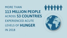Grafico: più di 13 milioni di persone in 53 paesi sono vittime di fame acuta, malnutrizione e necessitano di aiuti e mezzi di sussistenza. 