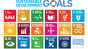Icone dei 17 Obiettivi di Sviluppo Sostenibile (SDGs), Agenda 2030 