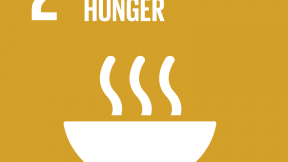 Icona degli Obiettivi di Sviluppo Sostenibile, Obiettivo 2 "Zero fame"