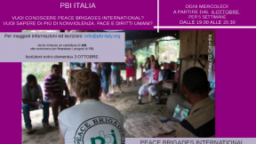 Incontri di formazione online con PBI Italia
