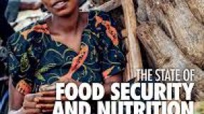 State of food security and nutrition in the world 2019
