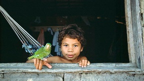 Bambino con il suo pappagallo domestico alla finestra
