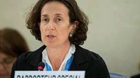 Annalisa Ciampi, Relatrice speciale per i diritti alla libertà di assemblea pacifica e di associazione
