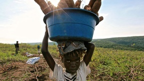 bambino congolese che porta in testa un cesto pieno di tuberi