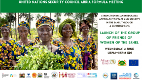 Launch of the group of friends of women of the Sahel