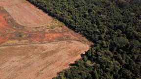 Una veduta aerea mostra la deforestazione nei pressi di una foresta al confine tra Amazzonia e Cerrado a Nova Xavantina, stato del Mato Grosso, Brasile (2021)