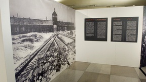 La foto mostra un artwork della mostra fotografica ""Auschwitz - the Depth of the Abyss" presso la Sala visitatori dell'Assemblea Generale aperta in occasione del sedicesimo anniversario della giornata della memoria, il 27 gennaio e mostra una foto in primo piano del campo di concentramento di Auschwitz visto da fuori.