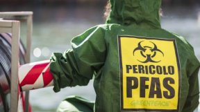 Una persona di spalle con un cartello sulla schiena che riporta la scritta "Pericolo PFAS - Greenpeace" e il simboli dei rifiuti tossici