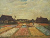 Immagine dalla locandina, Bulb Fields - Vincent Van Gogh