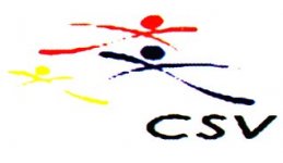 Logo Centro Servizi Volontariato Rovigo