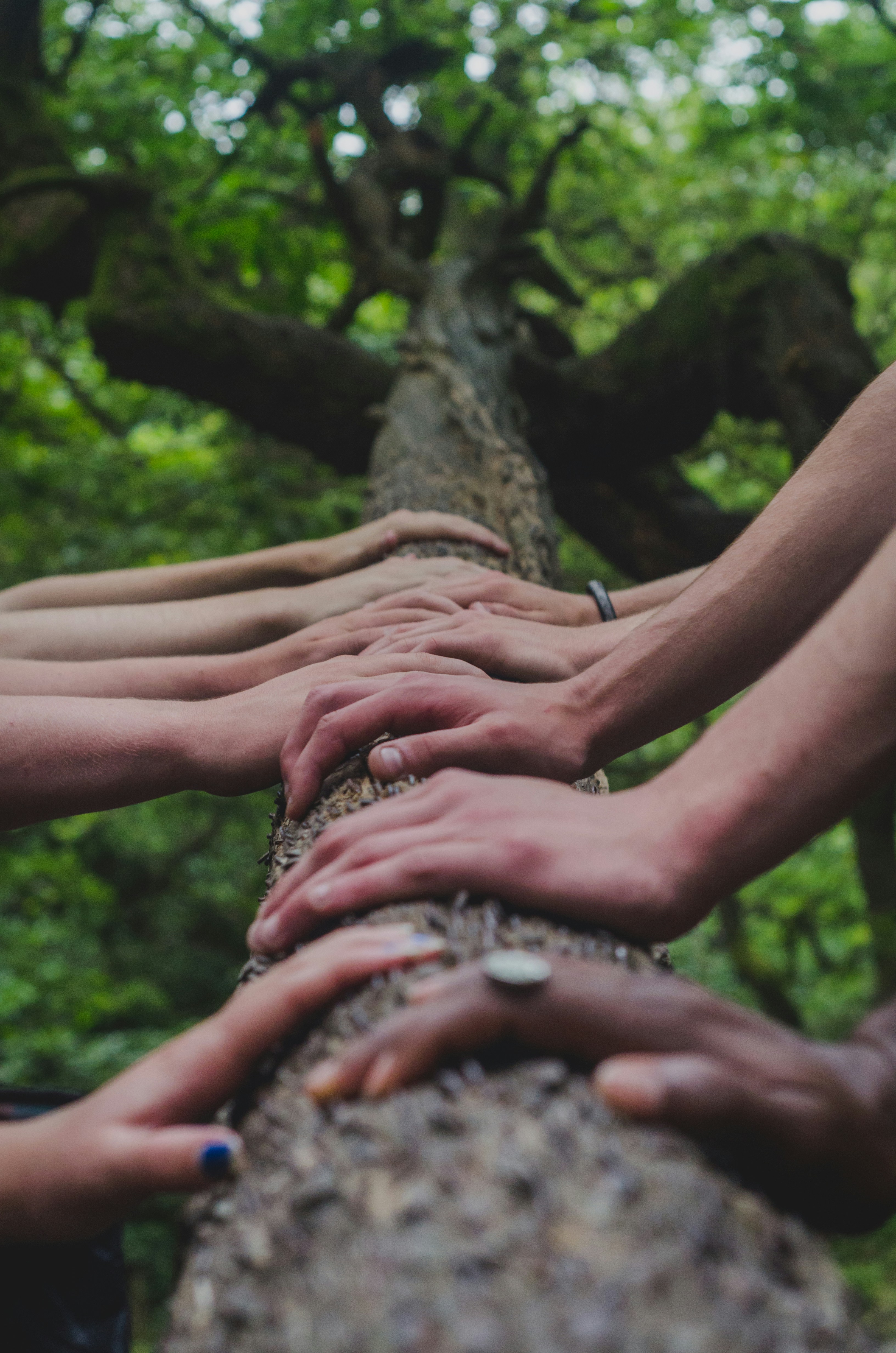 ripensare la natura umana