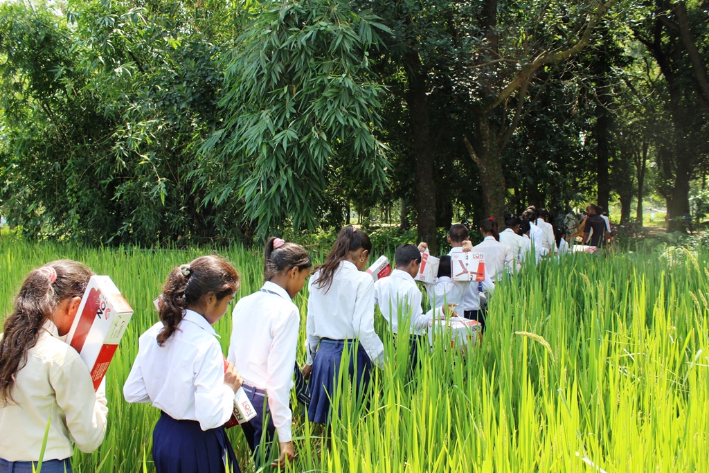 School, Farm House Nepal