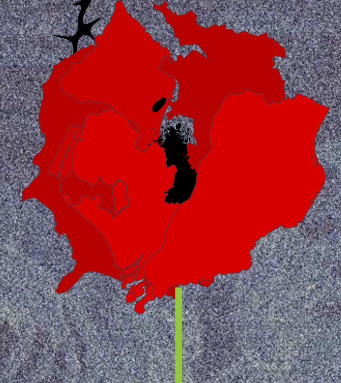 Papavero