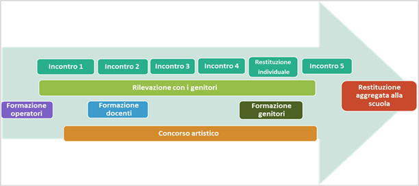 Figura 1. Procedura delle attività svolte all’interno del progetto PRIZE 2.