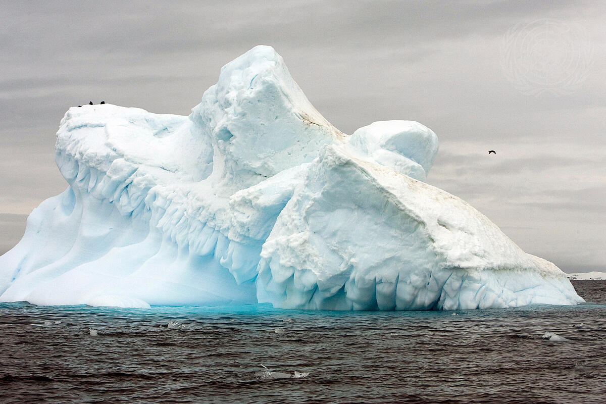 View of the melting Collins Glacier in Antarctica, showing the effects of climate change.