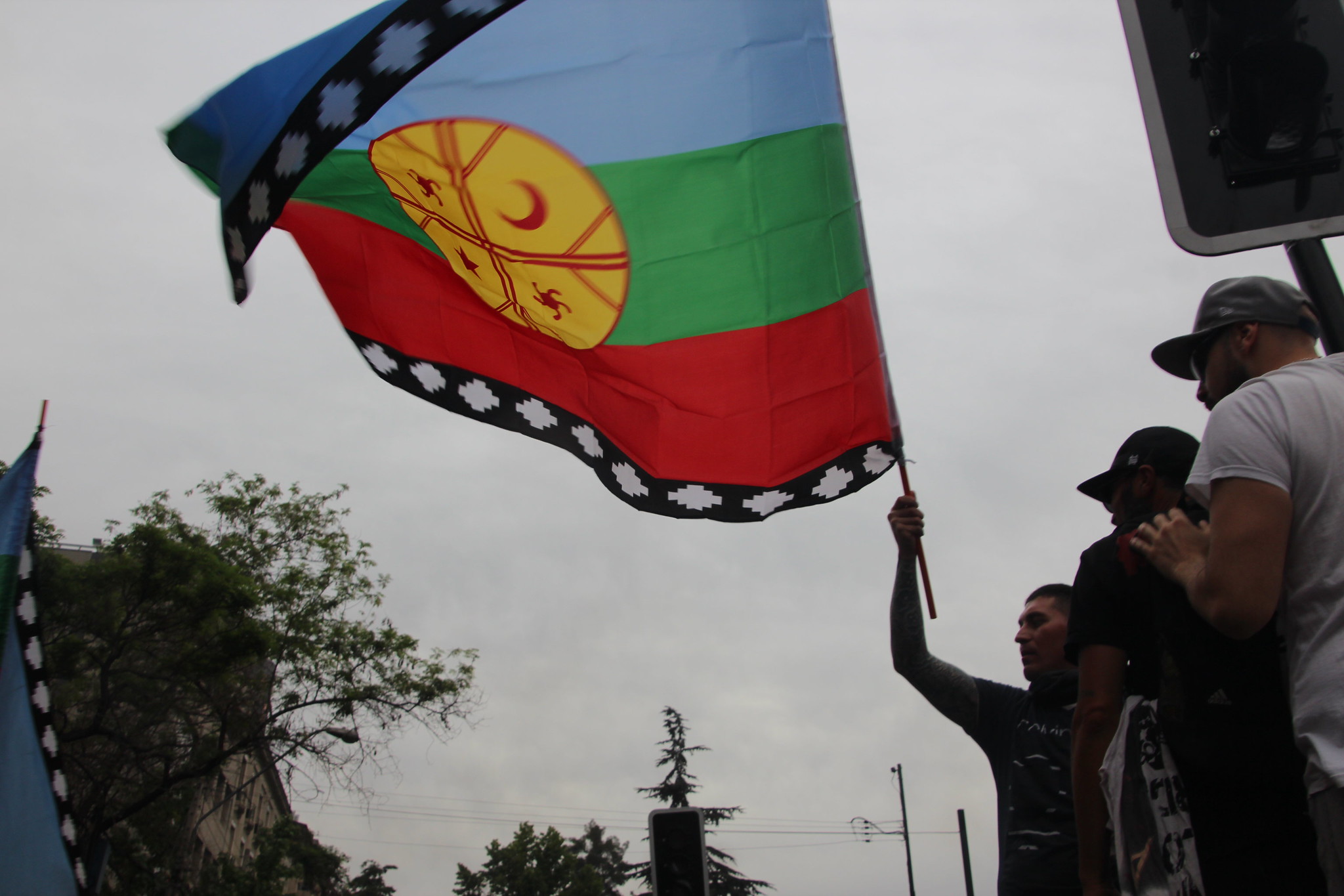 mapuche