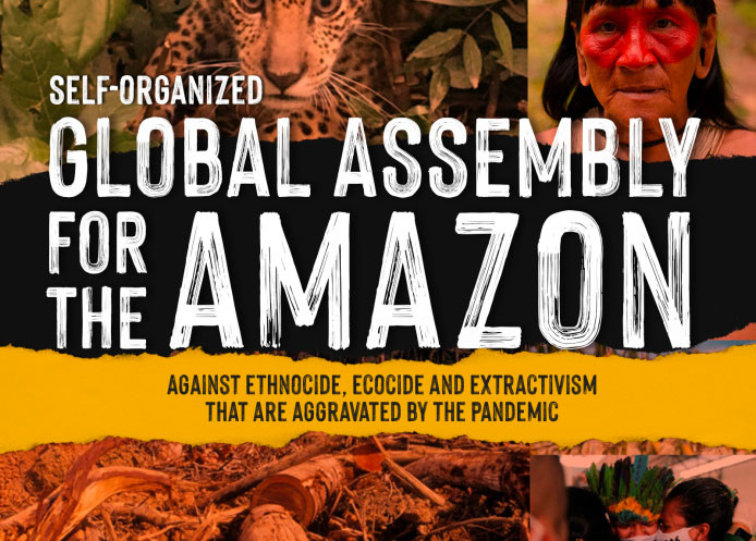 afiche-amazonia-datos-eng