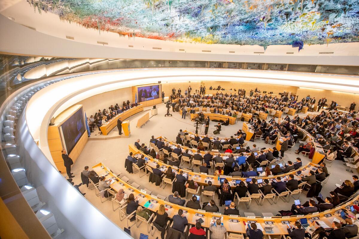 Human Rights Council