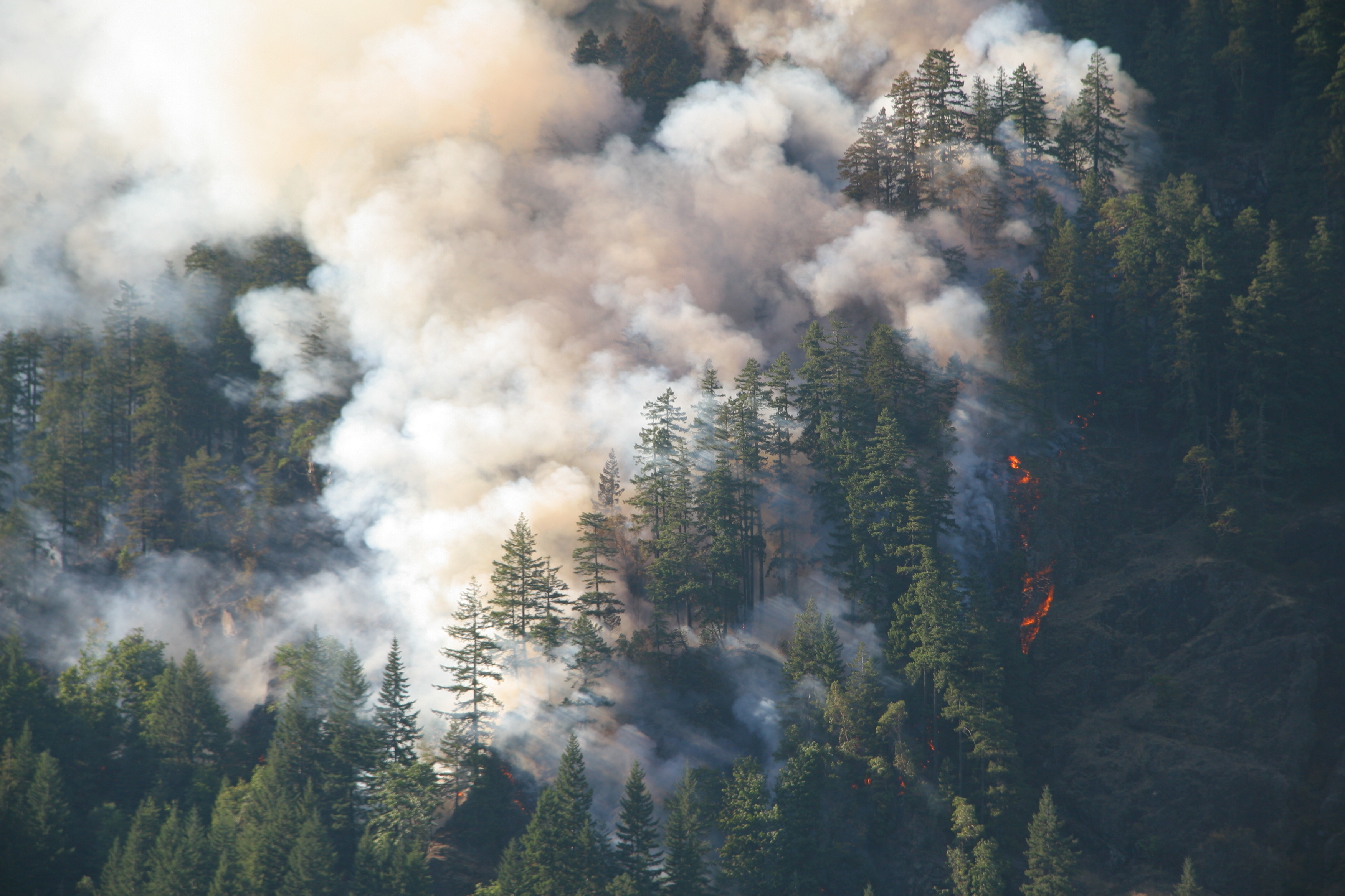 Un fuoco brucia nella foresta amazzonica in Brasile