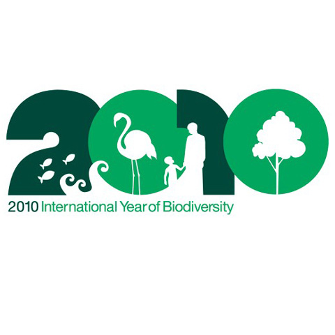 2010_Logo_biodiversityjpg