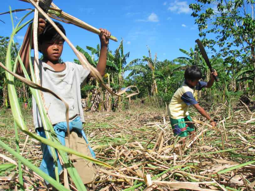Child labour