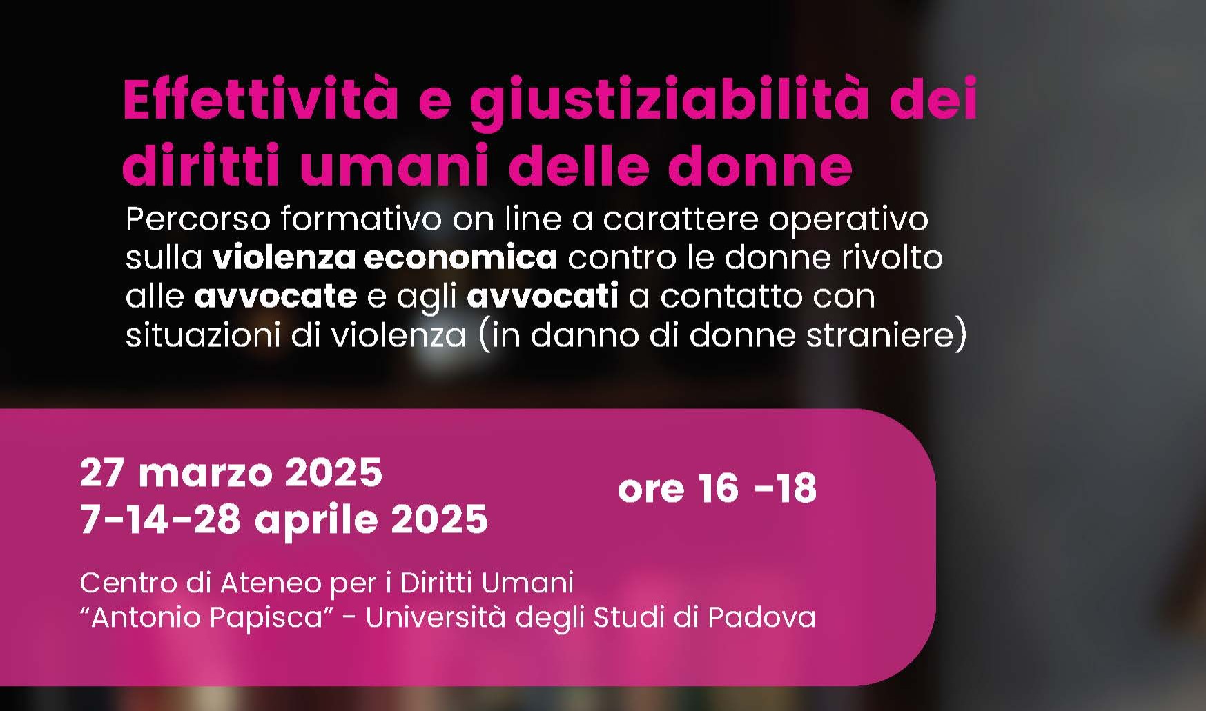 Effettività e giustiziabilità dei diritti umani: percorso formativo on line a carattere operativo sulla violenza economica contro le donne rivolto alle avvocate e agli avvocati a contatto con situazioni di violenza (in danno di donne straniere), marzo-aprile 2025, cover