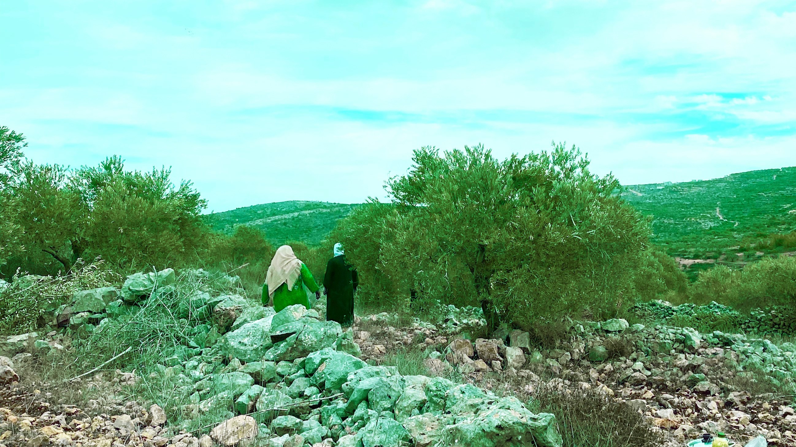 Environmental peacebuilding: costruire la pace in un clima che cambia. Il caso di EcoPeace Middle East