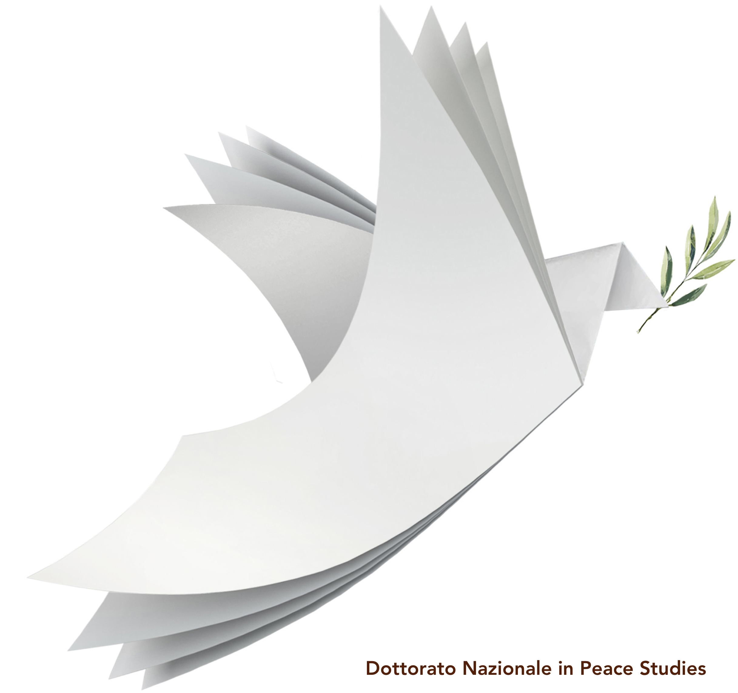 Dottorato di Interesse Nazionale in Peace Studies