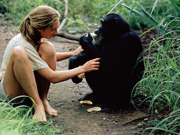 jane_goodall