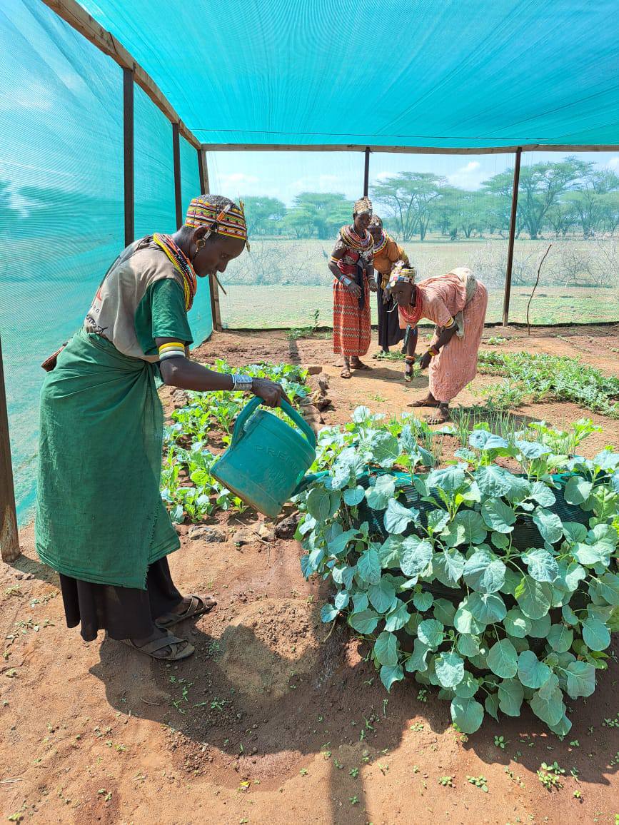 489702480_974094074847874_1899101407651525583_n