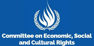 UN Committee on Economic, Social and Cultural Rights (CESR)