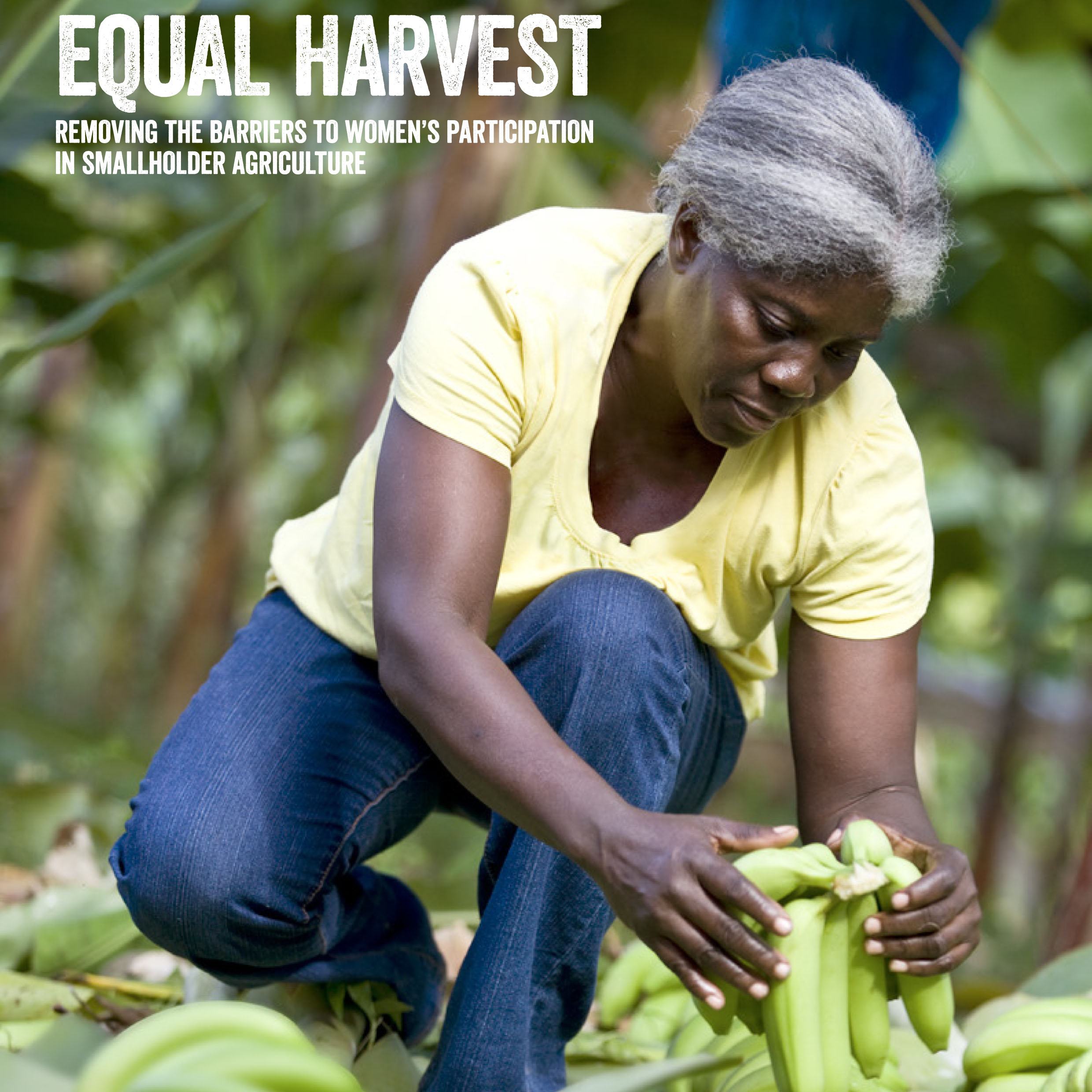 Fairtrade_report_2015