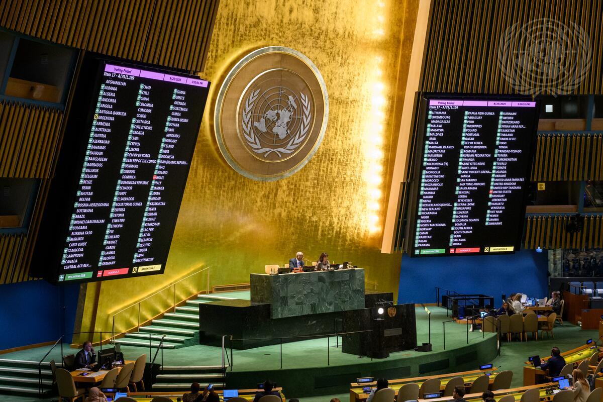 A view of the voting at the General Assembly plenary meeting