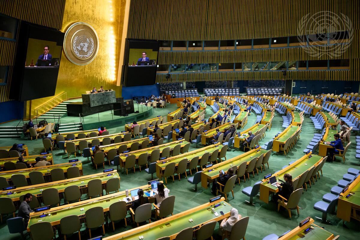 UN General Assembly 81st session
