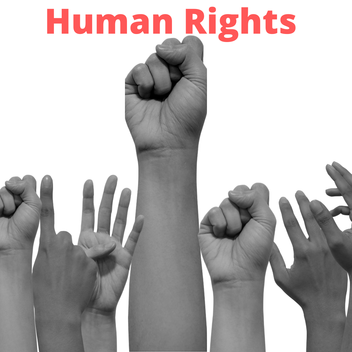 Human_Rights_Photo