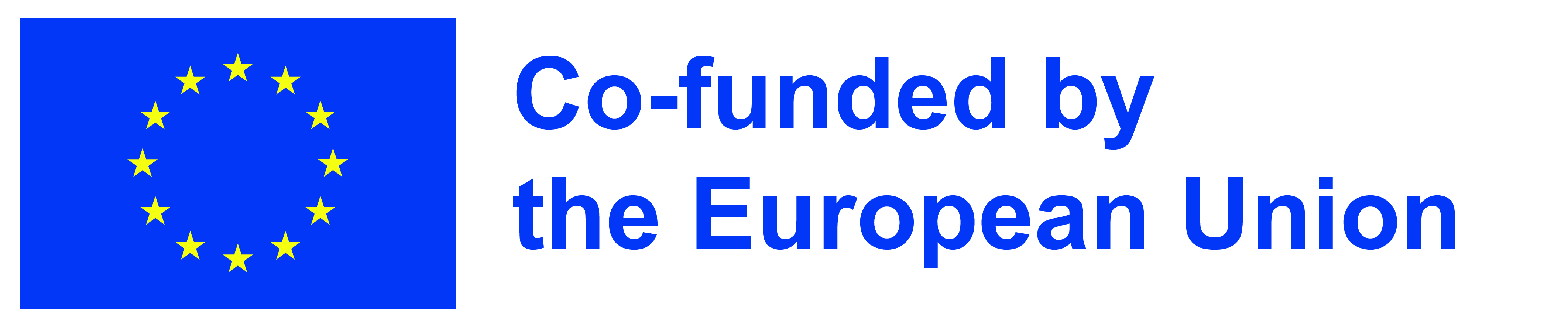 Co-finanziato dall'Unione Europea