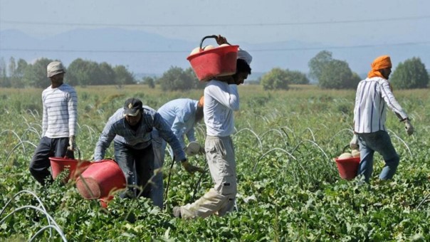 Immigrants workers