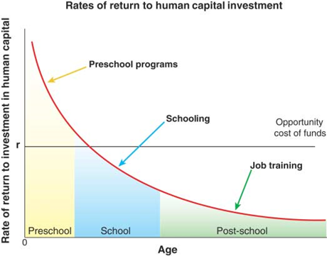 Human Capital